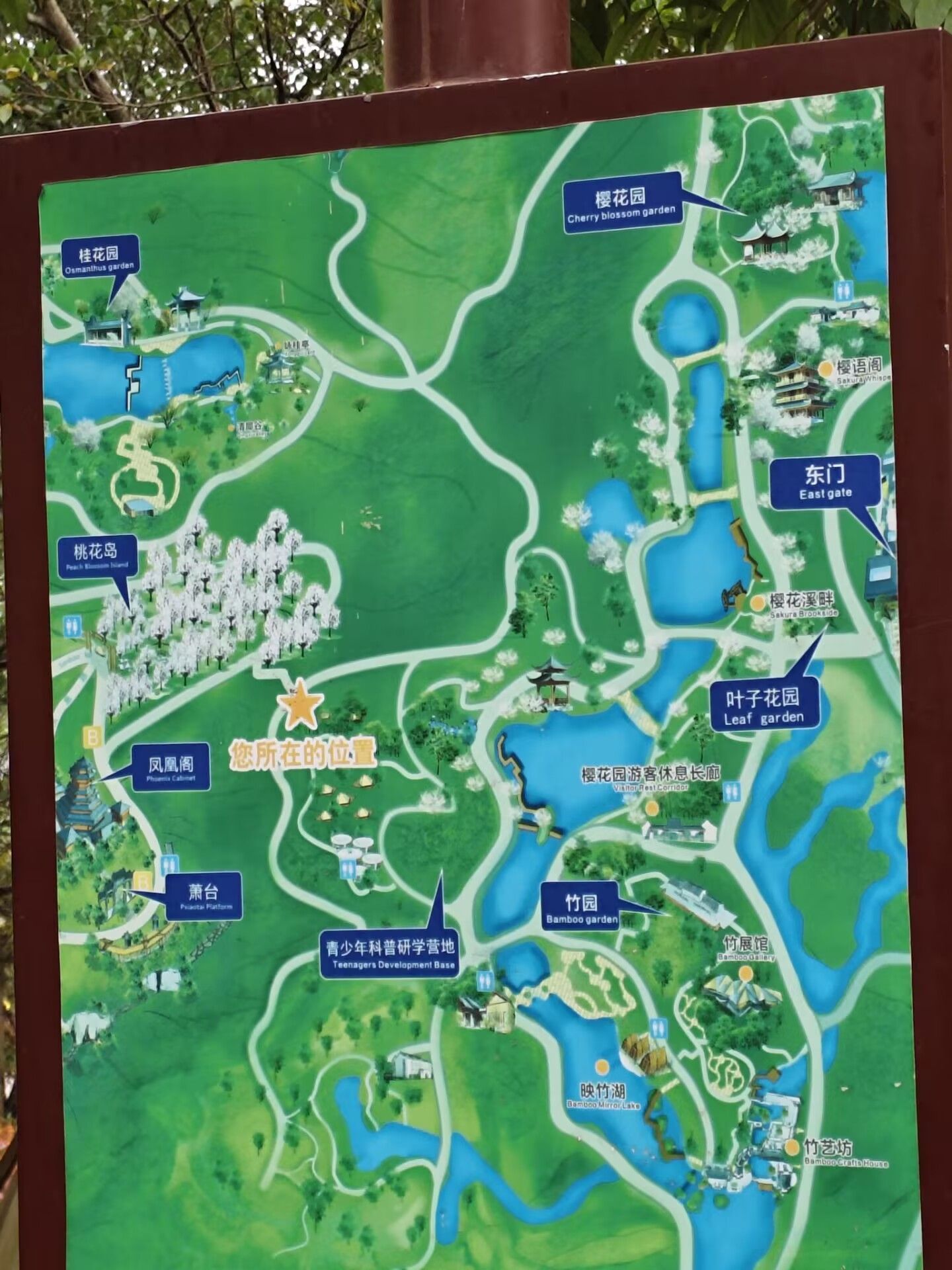 地图