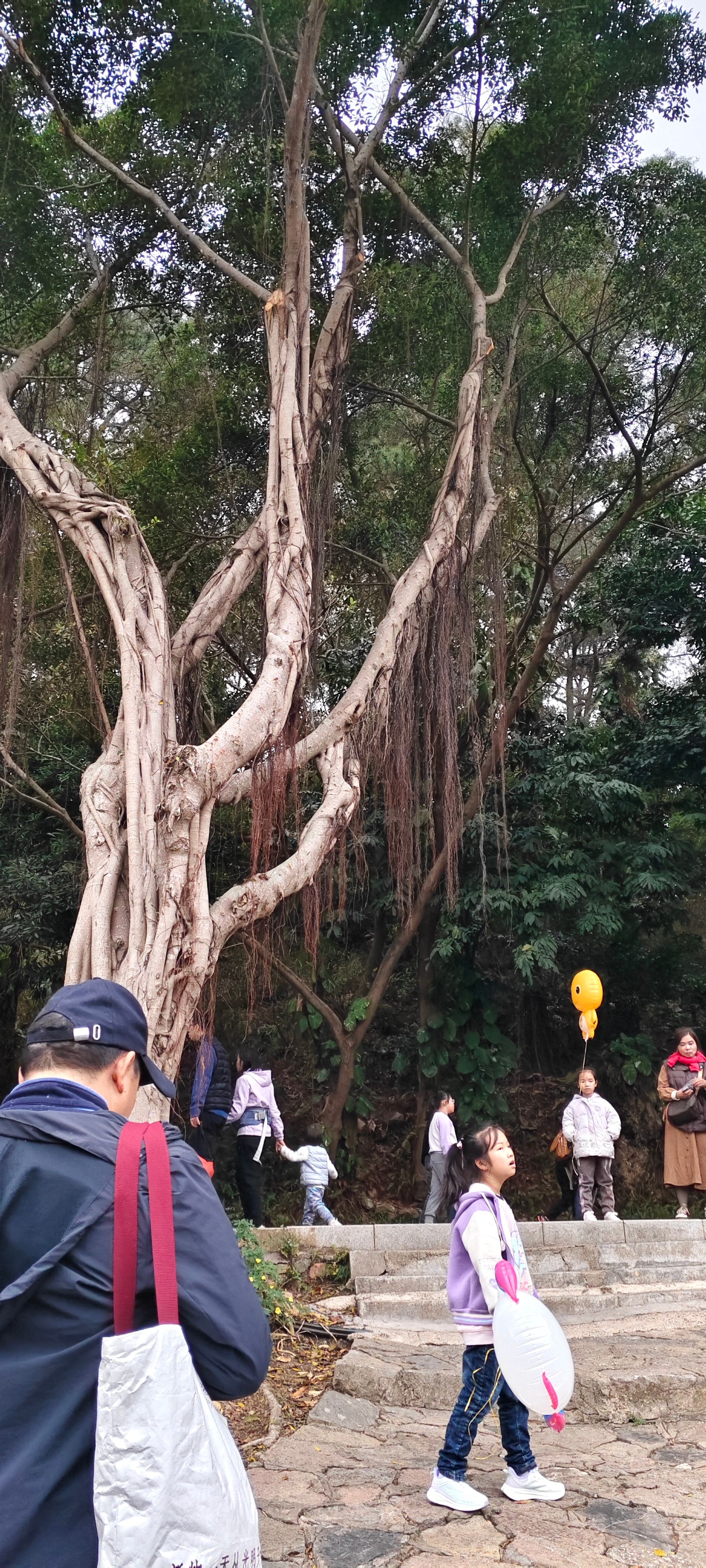 奶龙